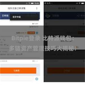 Bitpie登录 比特派钱包：多链资产管理技巧大揭秘!