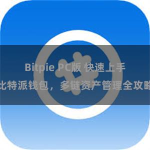 Bitpie PC版 快速上手比特派钱包，多链资产管理全攻略