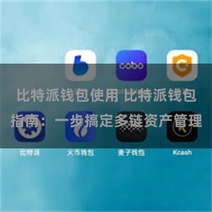 比特派钱包使用 比特派钱包指南：一步搞定多链资产管理