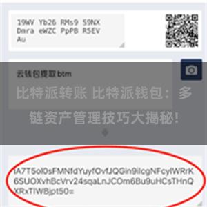 比特派转账 比特派钱包：多链资产管理技巧大揭秘!
