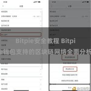 Bitpie安全教程 Bitpie钱包支持的区块链网络全面分析