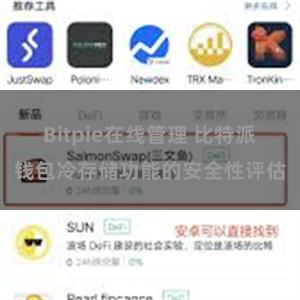 Bitpie在线管理 比特派钱包冷存储功能的安全性评估