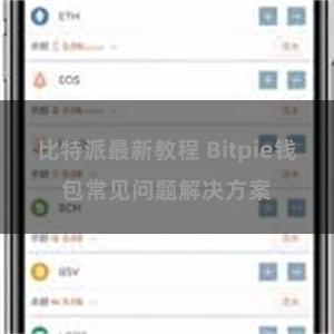 比特派最新教程 Bitpie钱包常见问题解决方案