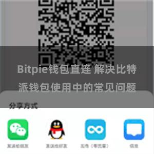 Bitpie钱包直连 解决比特派钱包使用中的常见问题