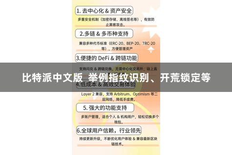 比特派中文版  举例指纹识别、开荒锁定等