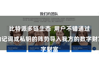比特派多链生态  用户不错通过助记词或私钥的阵势导入我方的数字财富