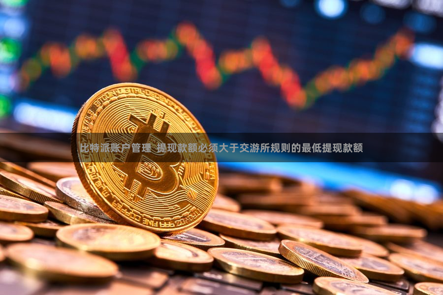 比特派账户管理  提现款额必须大于交游所规则的最低提现款额