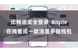 比特派安全登录  Bitpie在线看成一款浅显多链钱包