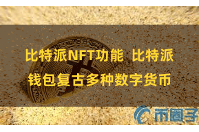 比特派NFT功能  比特派钱包复古多种数字货币