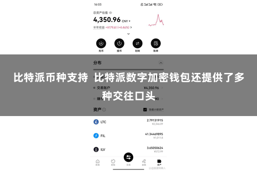 比特派币种支持  比特派数字加密钱包还提供了多种交往口头