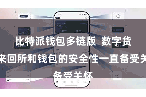 比特派钱包多链版  数字货币来回所和钱包的安全性一直备受关怀