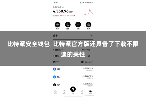 比特派安全钱包  比特派官方版还具备了下载不限速的秉性