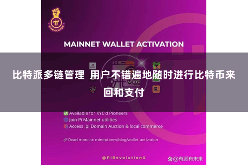 比特派多链管理  用户不错遍地随时进行比特币来回和支付