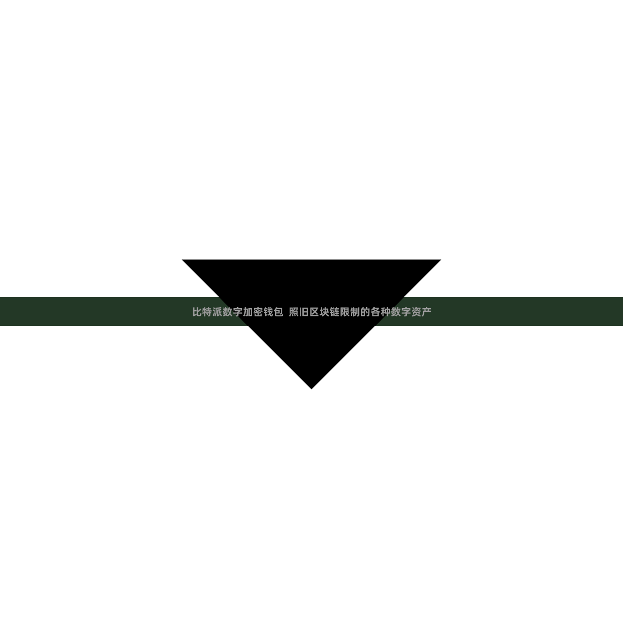 比特派数字加密钱包  照旧区块链限制的各种数字资产